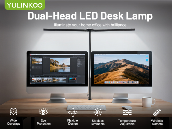 Desk Lamp with Clamp