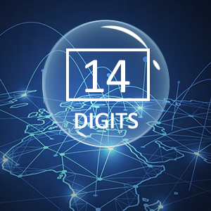 14-digits LCD display with blue backlight