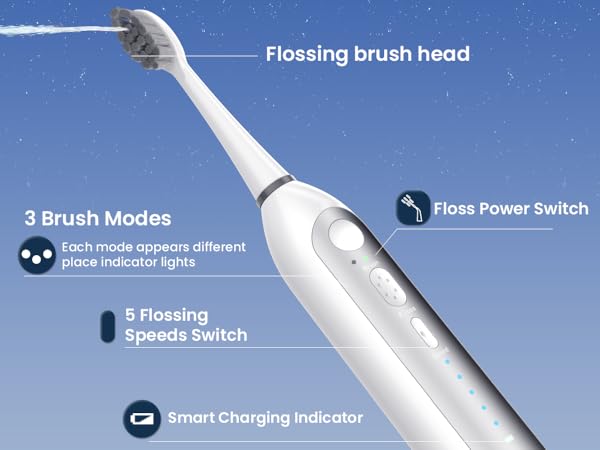 electric toothbrush with water flosser