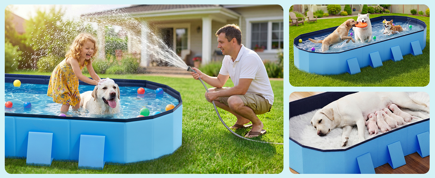 Dog Pool