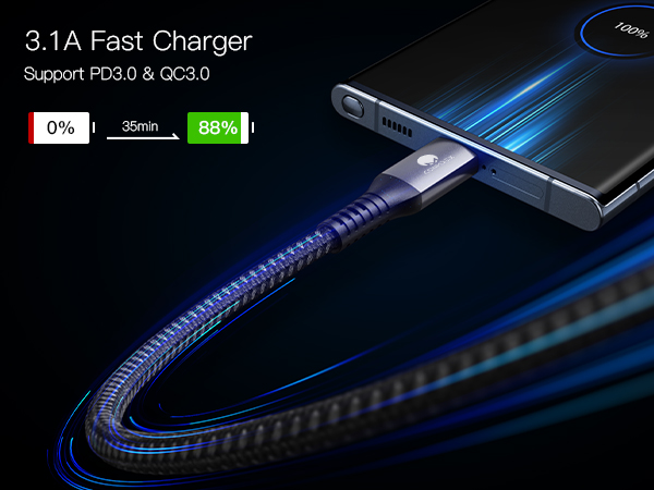 3.1A Fast Charger