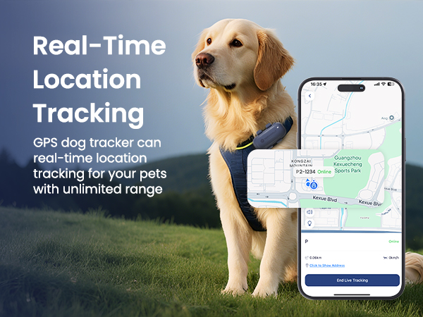 gps cat tracker