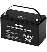 Renogy 24V 50Ah LiFePO4 Deep Cycle Lithium Battery, Over 2000 Cycles, Built-in BMS, Perfect in So...