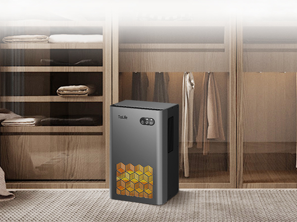 dehumidifier for closet
