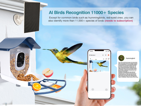 AI Birds Recognition