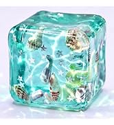 Ocean Cube Squishy Stress Ball with Seashells Inside for Your Best Calm, Focus and Relaxation, Be...