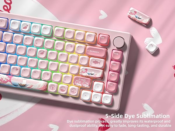 PBT Keycaps for Mechanical Keyboard,75 Percent Dye-Sublimation Custom Keycaps Set