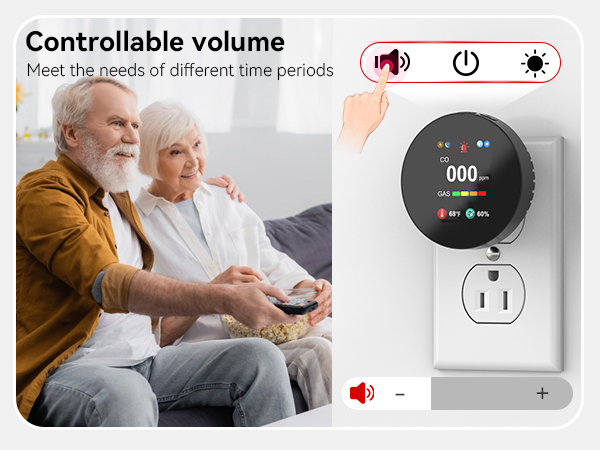 Gas &amp;amp; Carbon Monoxide Detector