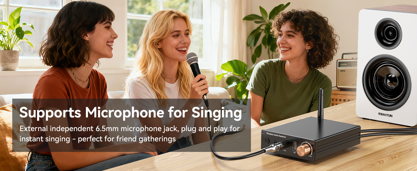 bluetooth to rca;rca to bluetooth adapter