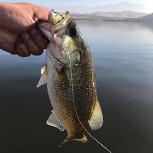 bass fishing