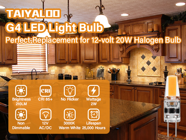g4 led bulb 12v