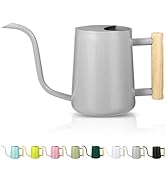 GUKJOB 35oz Stainless Steel Watering Can for Indoor Plants - Modern Decorative Pot With Long Spou...
