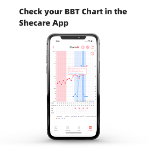 thermometer app