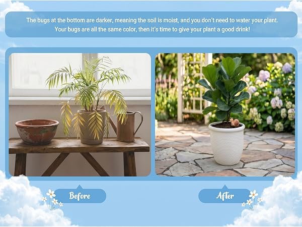 Fun Water Gauge and Moisture Sensor for Houseplants, Gardening Watering Monitor Decor