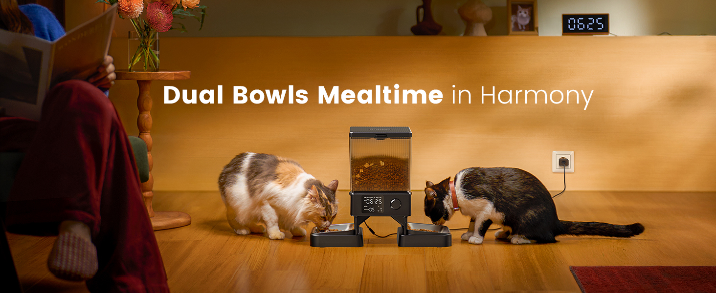 Automatic cat feeder