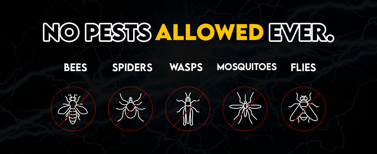 Electric Fly Swatter