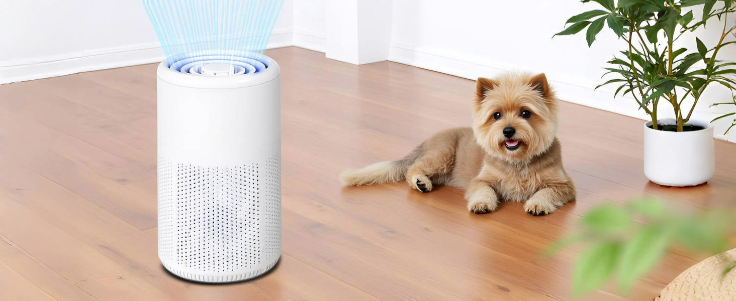 Air Purifiers for Home Pets