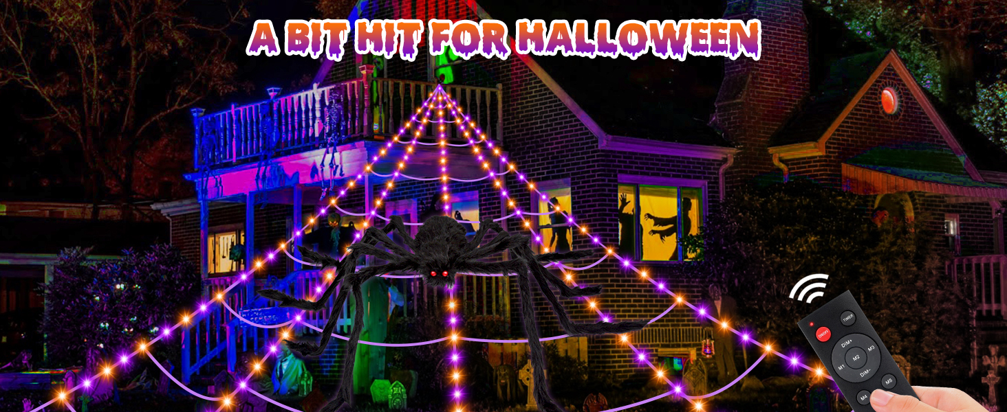 spider web decoration