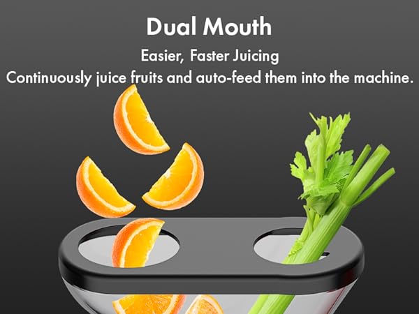 Masticating Juicer Attachment for KitchenAid Stand Mixer