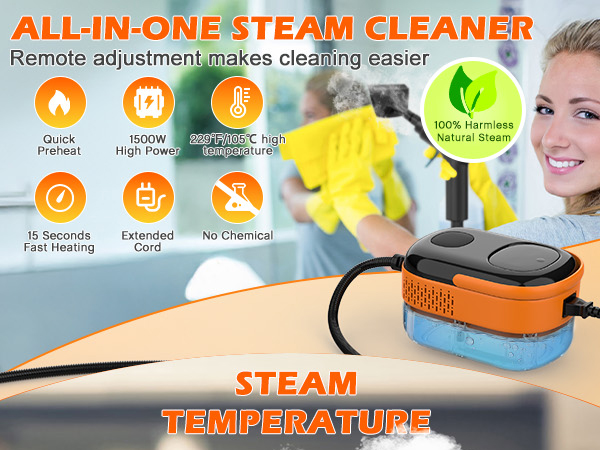 steam cleaner