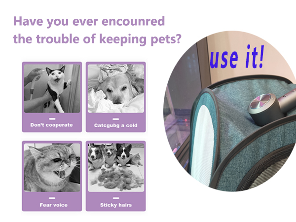 pet drying box