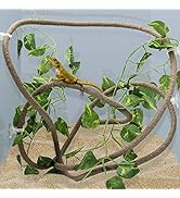 Coolrunner 8FT Reptile Vines and Flexible Reptile Leaves with Suction Cups Jungle Climber Long Vi...