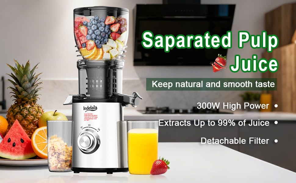 juicers for vegetables and fruits