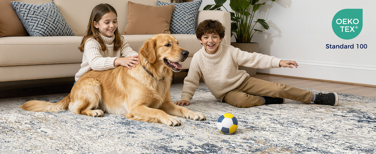 living room rug