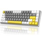60% Mechanical Gaming Keyboard, 68 Keys Hot-Swappable Compact Blue LED Backlit Gaming Keyboard, M...