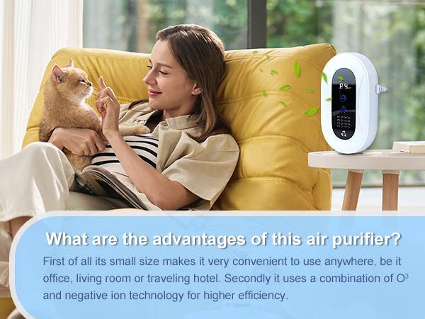 ion air purifier