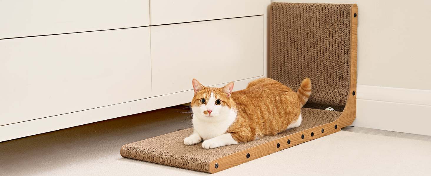 cat scratcher