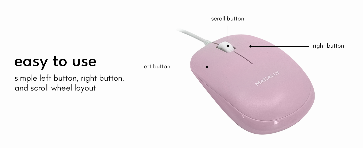 mouse