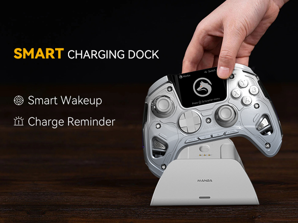 switch pro controller