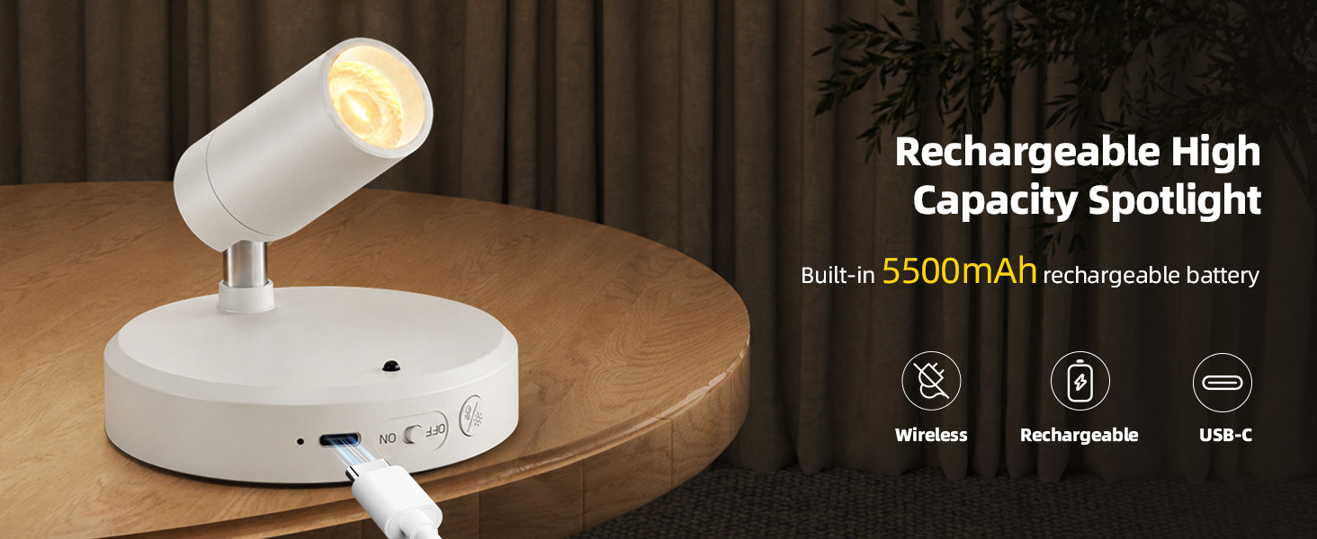 Rechargeable battery plant spotlight indoor