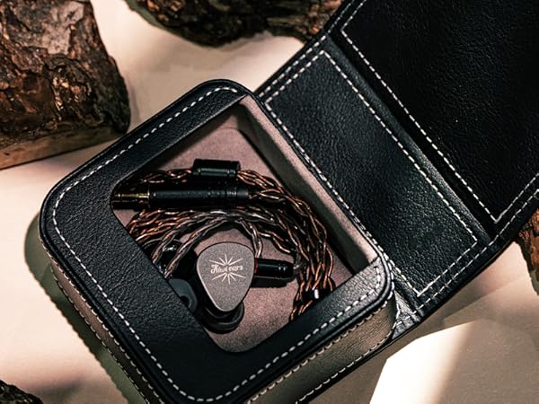 earbuds case