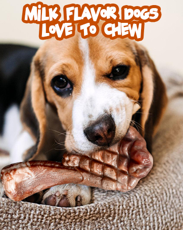Dog chew toys