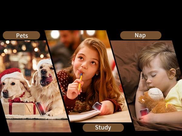 pets cat dog study nap sleeping reading parent child indoor warmth office desk school essentials