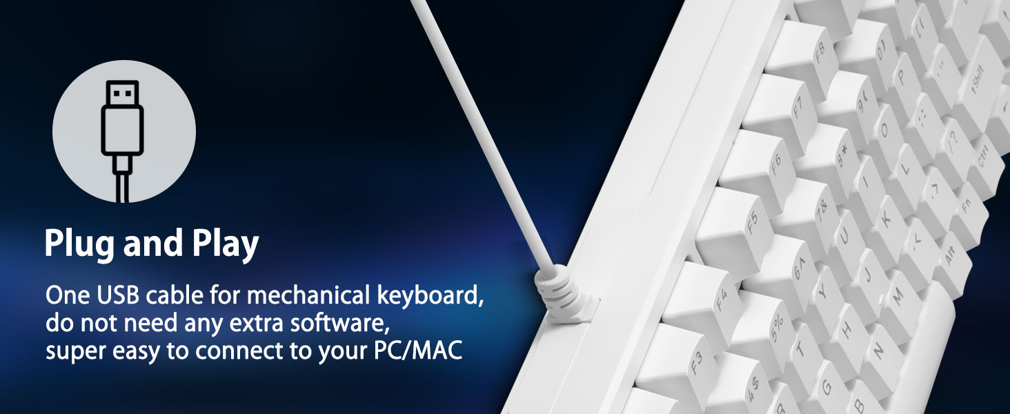 Mechanical keyboard