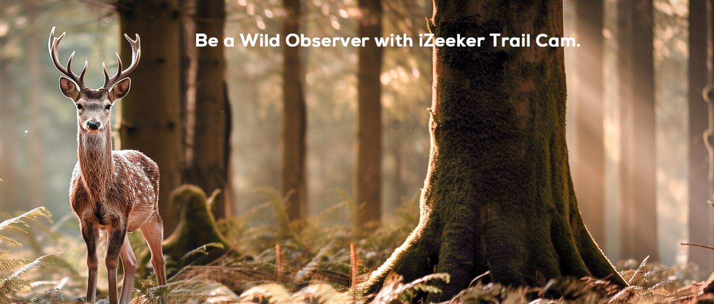 A mature male deer with large antlers stands in a misty forest. Text overlay reads 'Be a Wild Observer with iZeeker Trail Cam'.