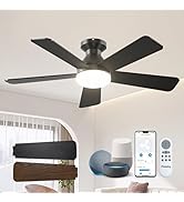 Passky Ceiling Fans with Lights, 42 Inch Smart Ceiling Fan with Remote/APP/Alexa Voice Control, F...
