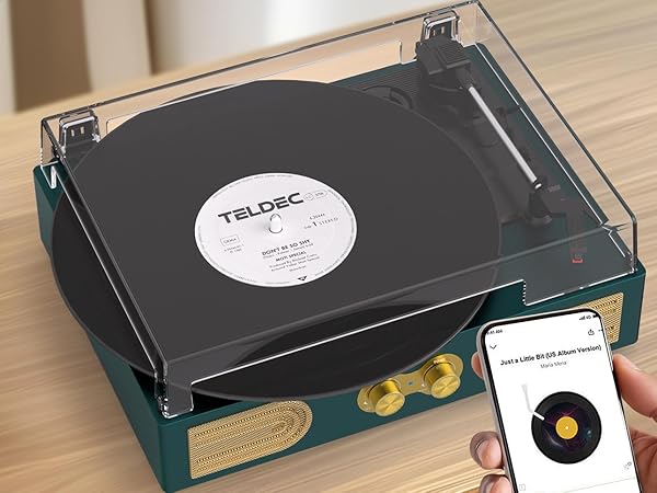 vinyl record player