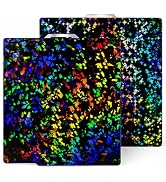 HIKUDIY 257x257mm PEF+PEY Holographic Build Plate for Bambu Lab X2D/P2S/A1/X1C/X1/X1E/P1P/P1S, Ra...