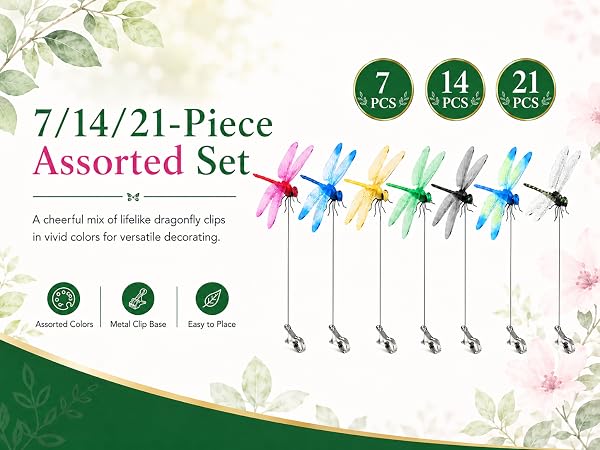 Fun Dragon Fly Clips Set