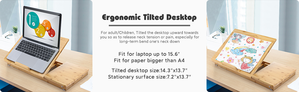 Multi-function Lap desk