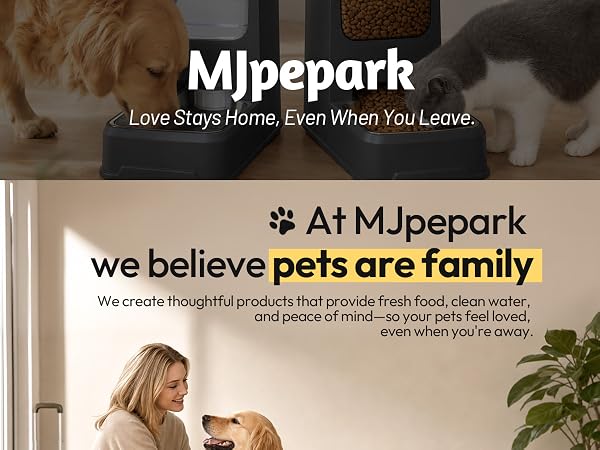 automatic cat feeder