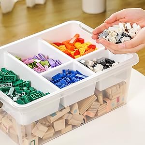5-Section Organizer
