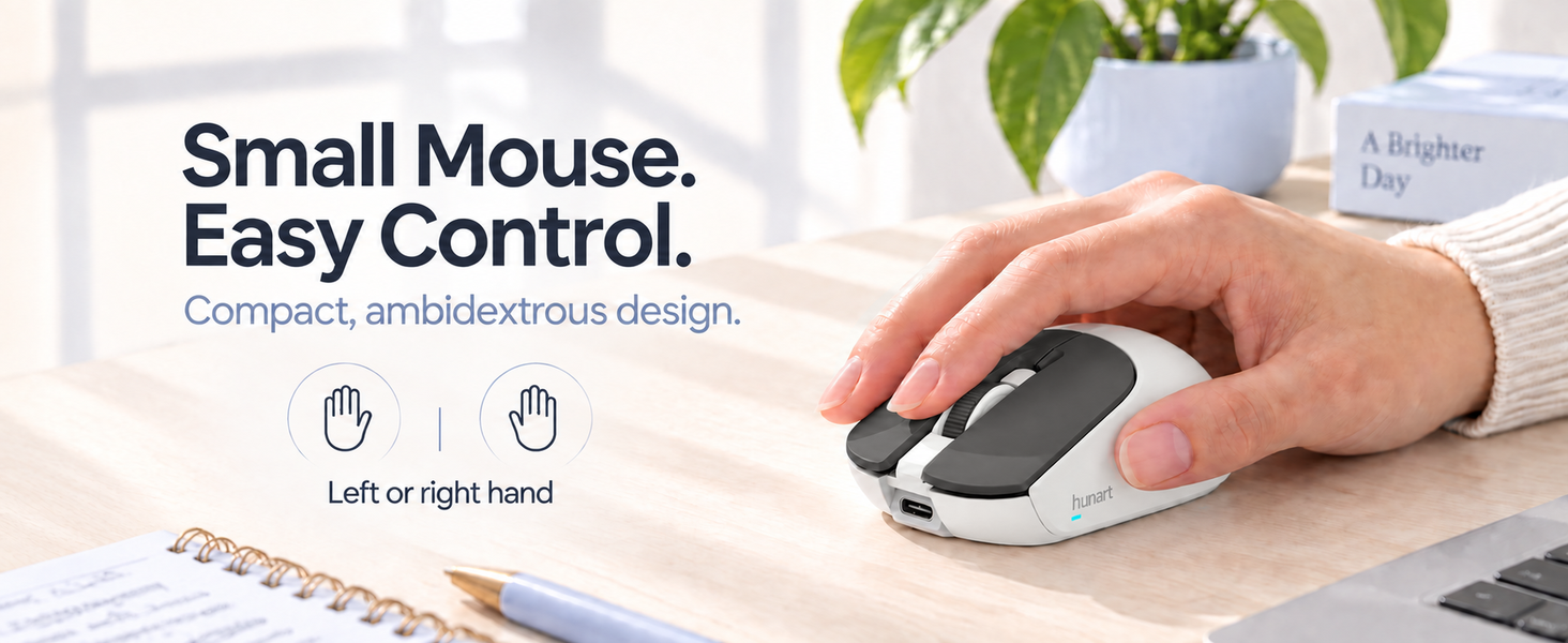 Small Mouse