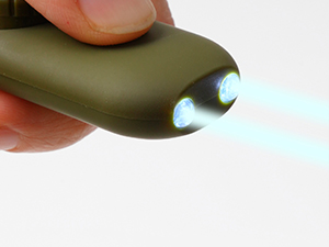 whistle