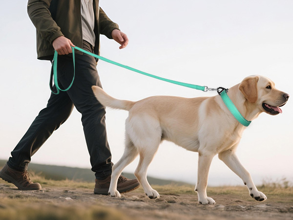 dog collar size chart