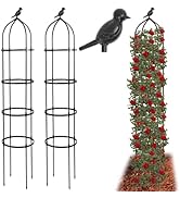 6FT Obelisk Trellis for Climbing Plants 2Sets,70" Metal Garden Trellis,Plant Support for Climbing...
